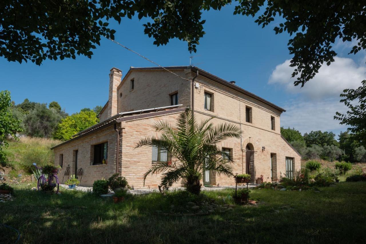 Belvedere Ostrense Agriturismo Campo Aperto المظهر الخارجي الصورة