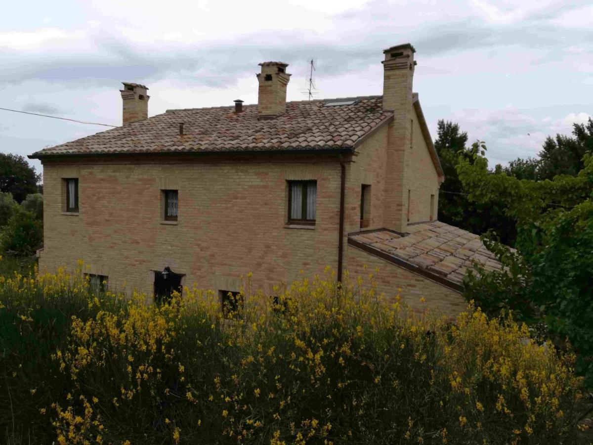 Belvedere Ostrense Agriturismo Campo Aperto المظهر الخارجي الصورة