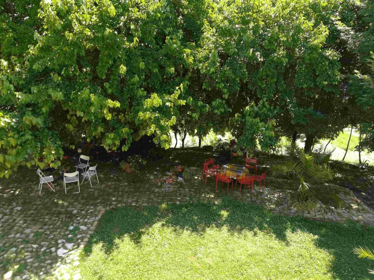 Belvedere Ostrense Agriturismo Campo Aperto المظهر الخارجي الصورة