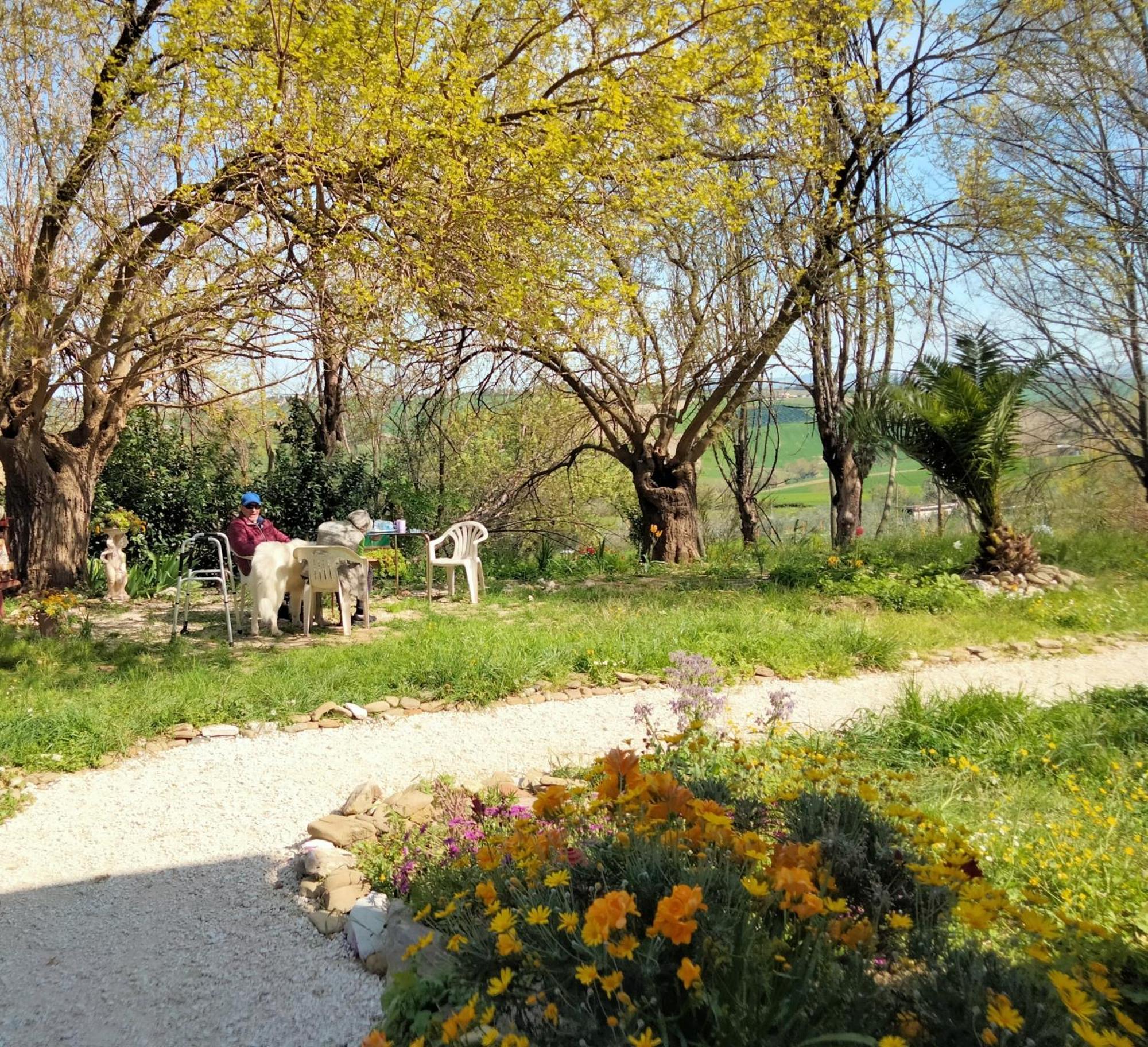 Belvedere Ostrense Agriturismo Campo Aperto المظهر الخارجي الصورة
