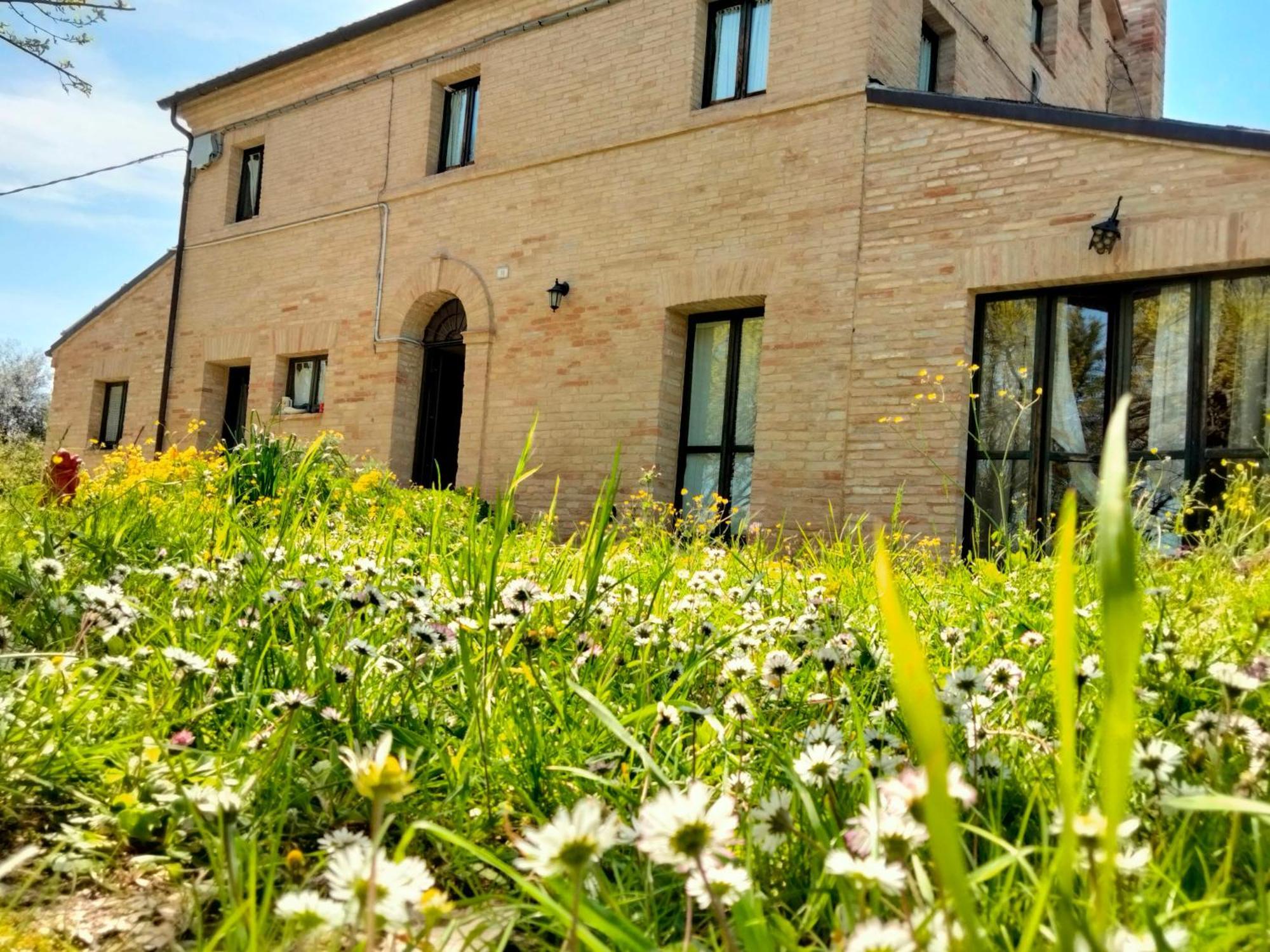 Belvedere Ostrense Agriturismo Campo Aperto المظهر الخارجي الصورة